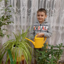 Неделя доброты